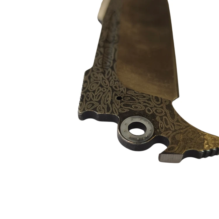 IMG_20260429_092609-Photoroom (1).png
