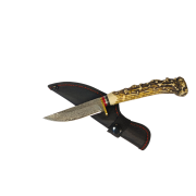 IMG_20260516_103638-Photoroom.png