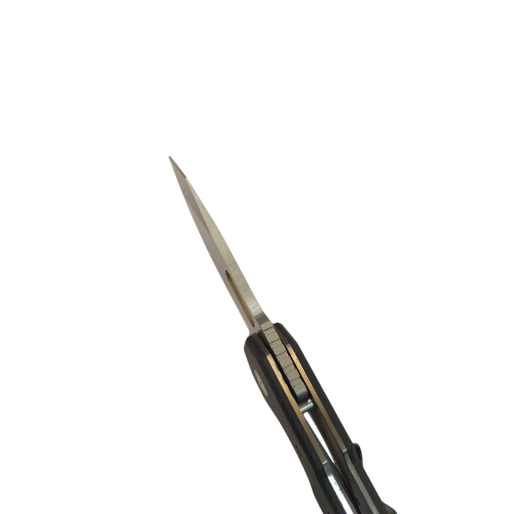 IMG_20260516_101527-Photoroom.png